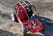 buggy