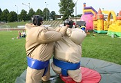 sumo